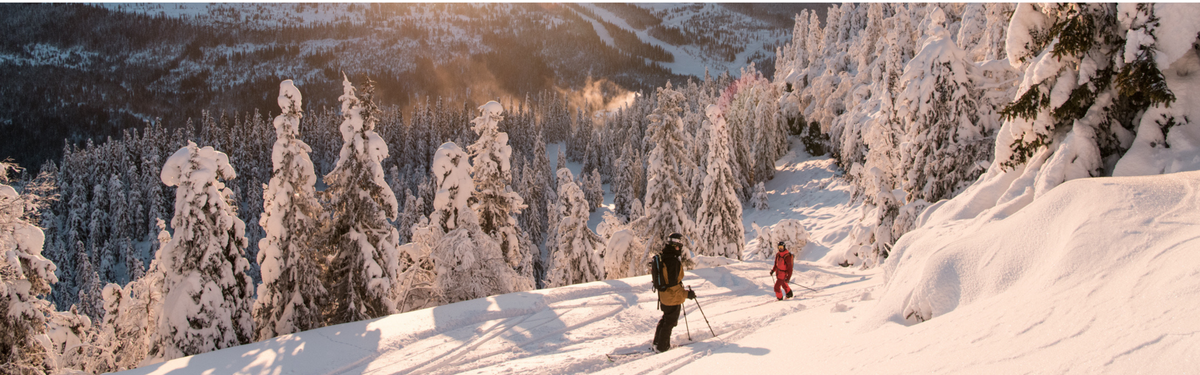 skiers in the powder during sunset
