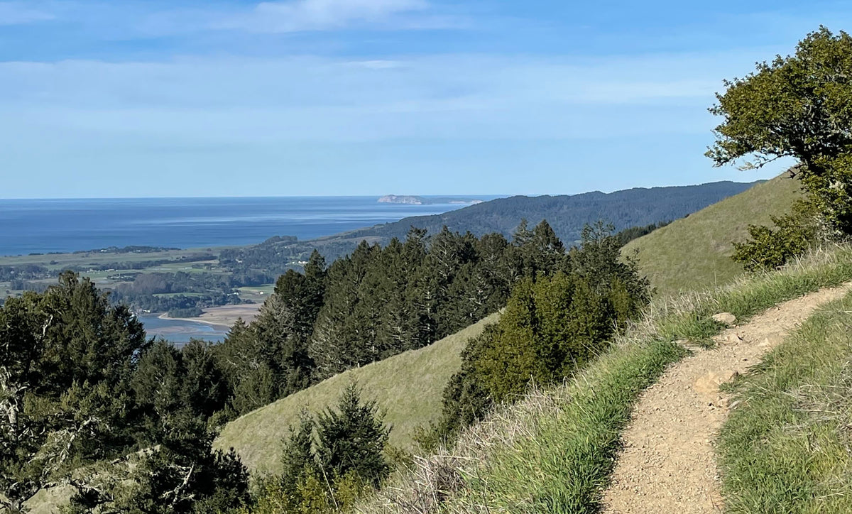 A view from Jennifer's hike. Enjoying the view in California