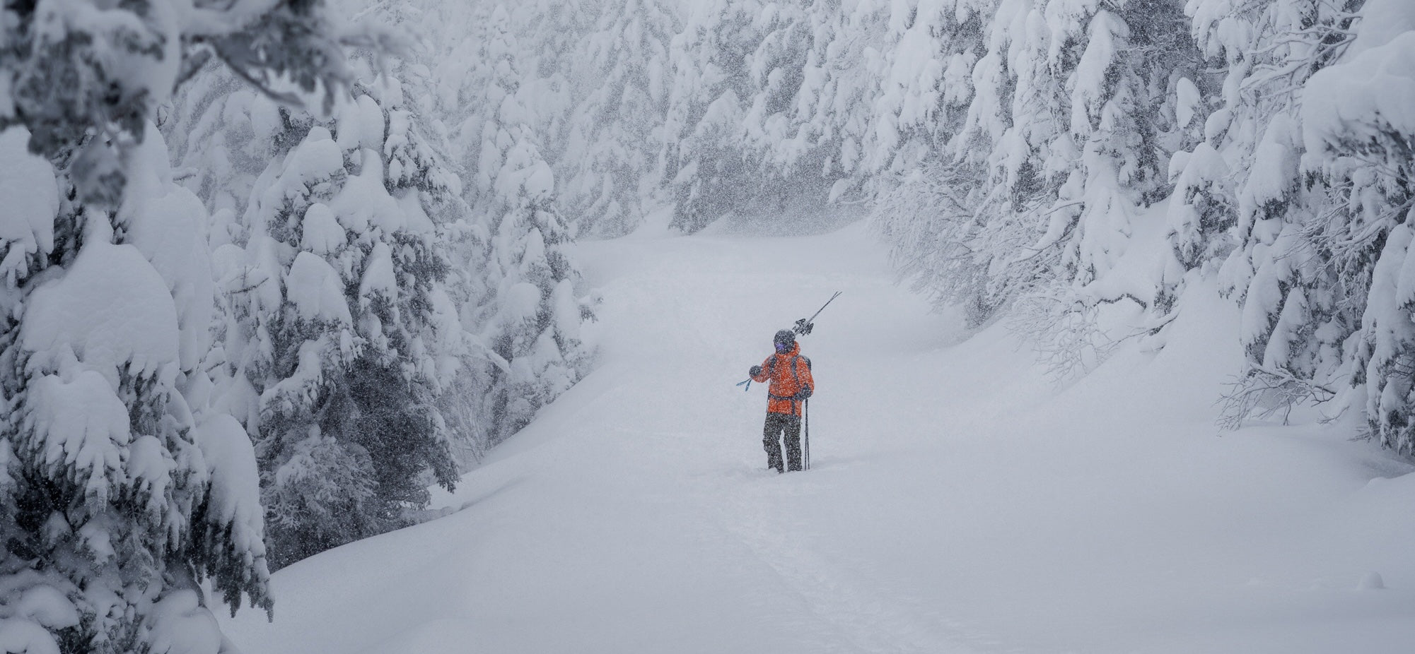Matt Testa in the woods at Stowe. Photographed by Brooks Curran