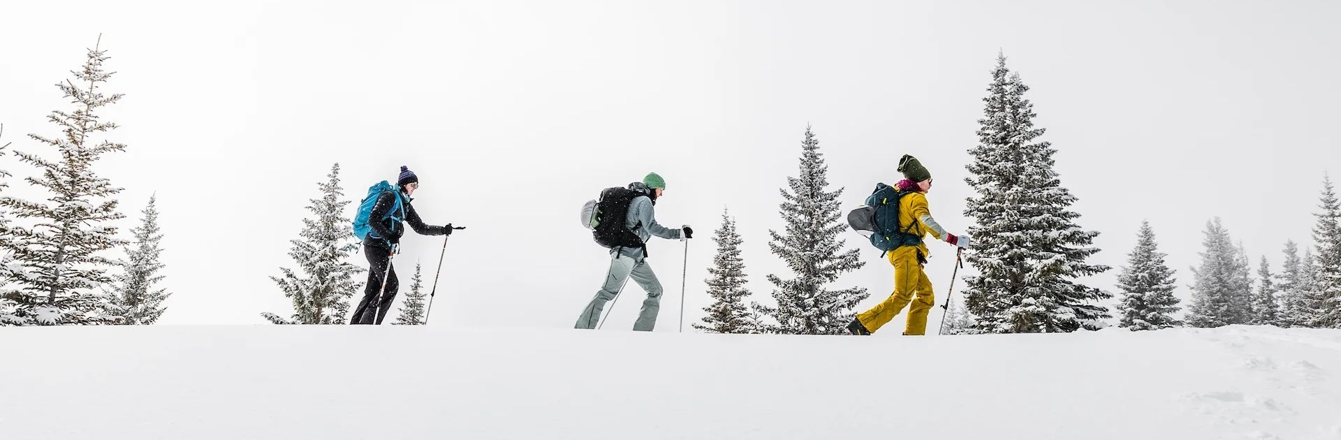 Three skiers touring in the Colorado winter