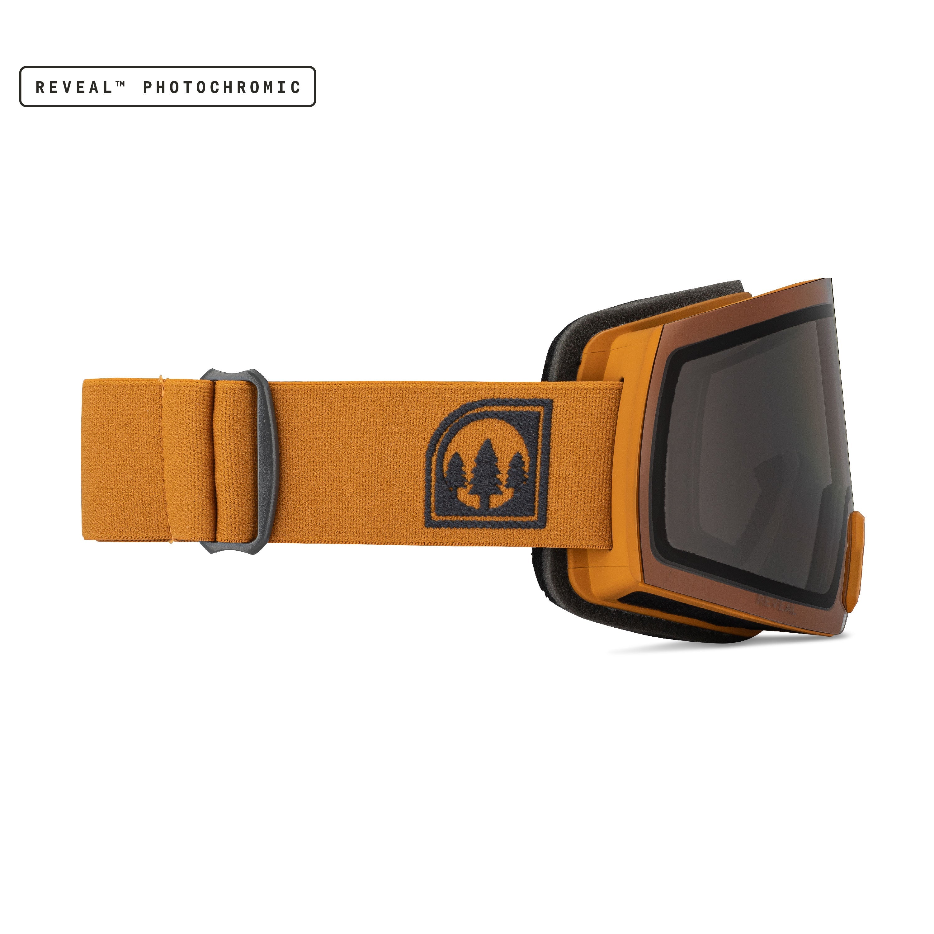Reveal Photochromic Black/Buck