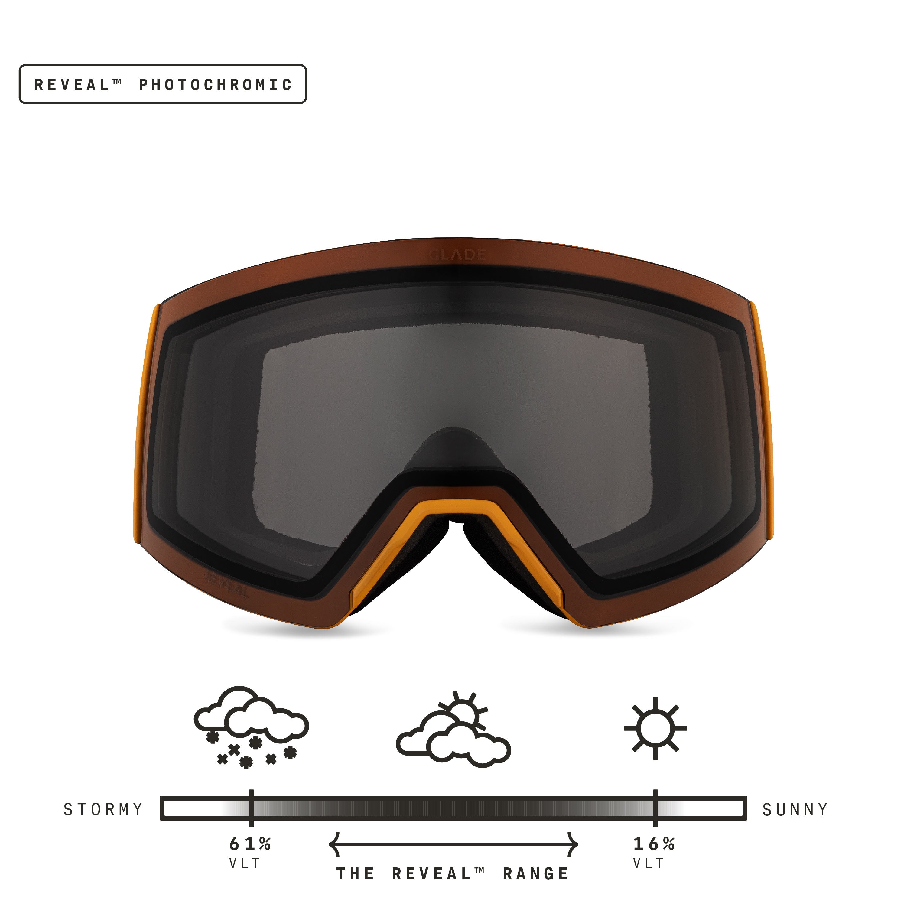Reveal Photochromic Black/Buck