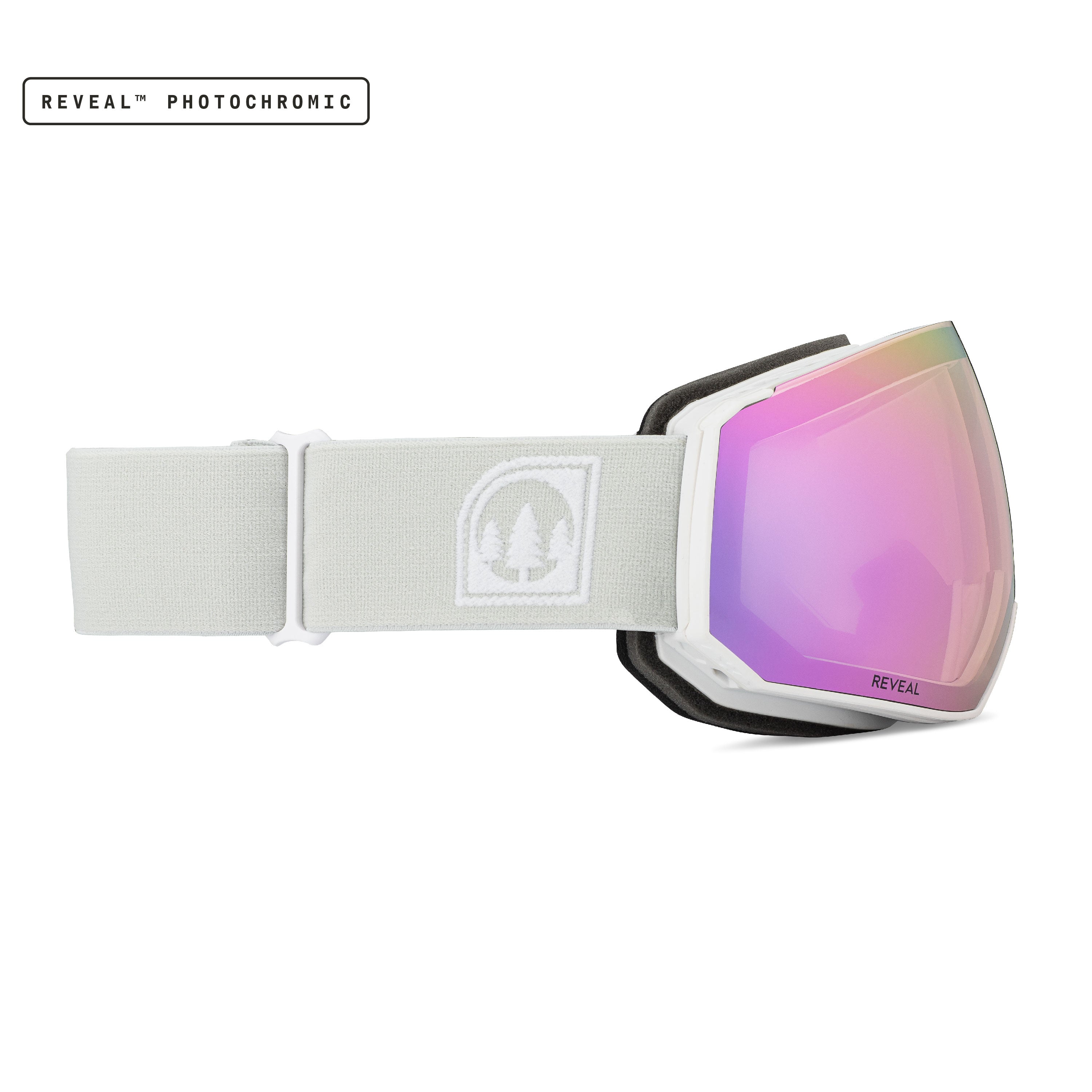 Glade Fathom+ Ski Goggles