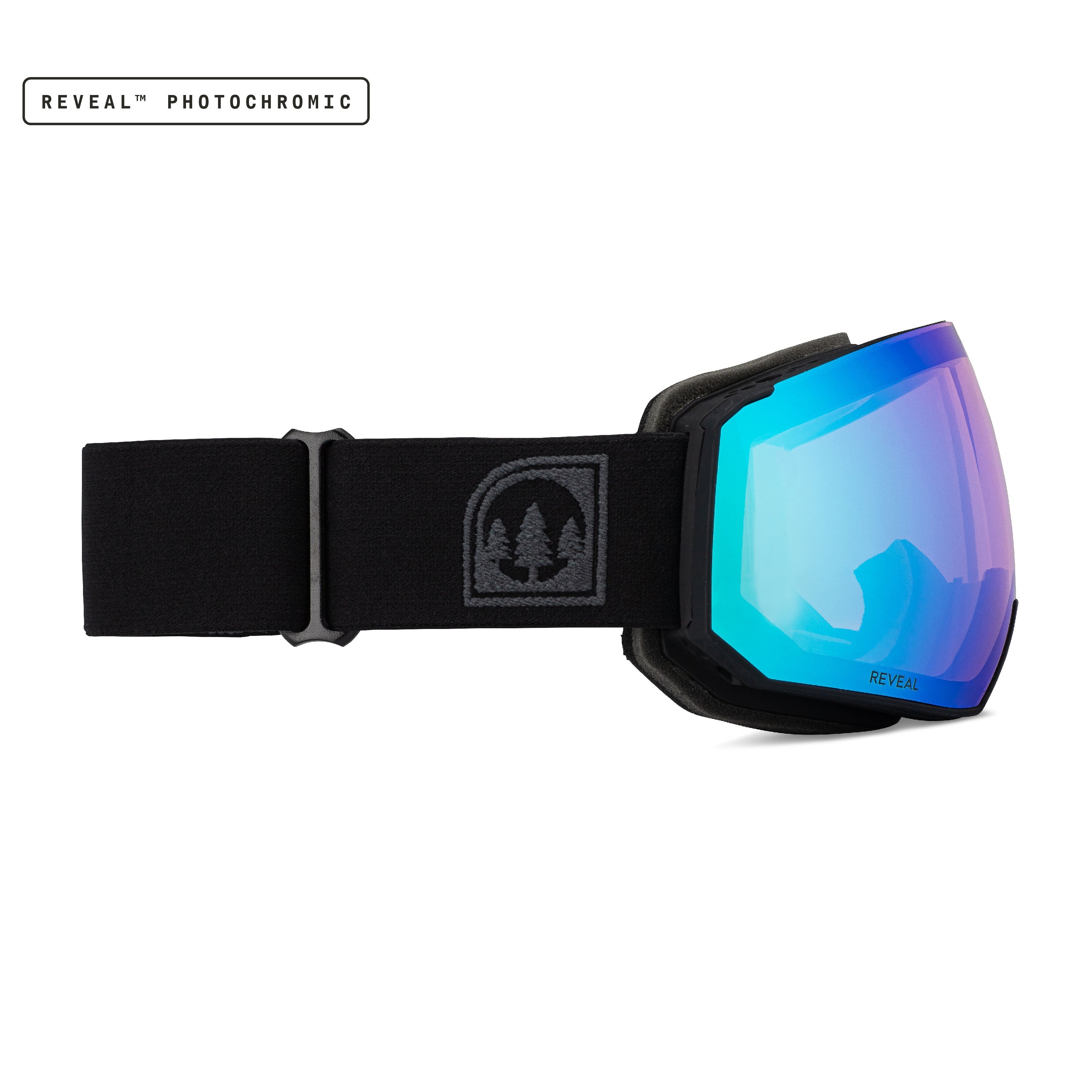 Toric Reveal Photochromic Blue/Black