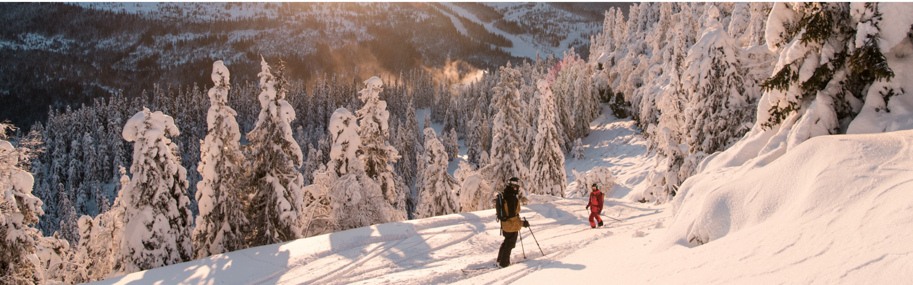 skiers in the powder during sunset