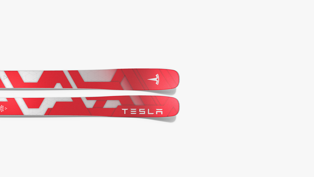 Tesla Skis for Elon Musk