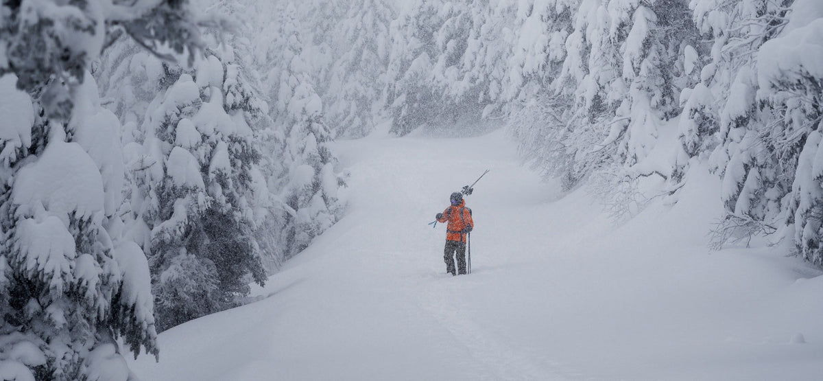 Matt Testa in the woods at Stowe. Photographed by Brooks Curran