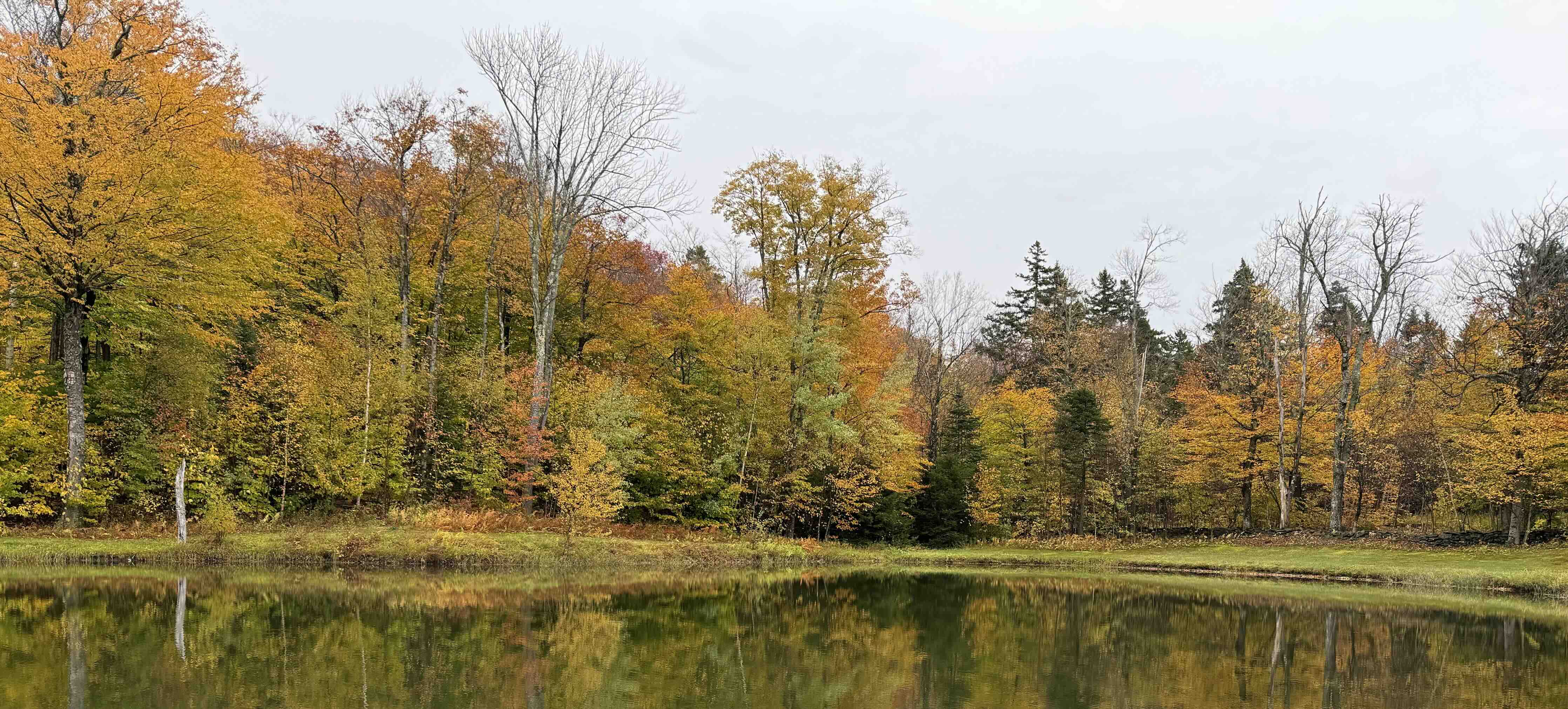 Pond in southern Vermont in the fall