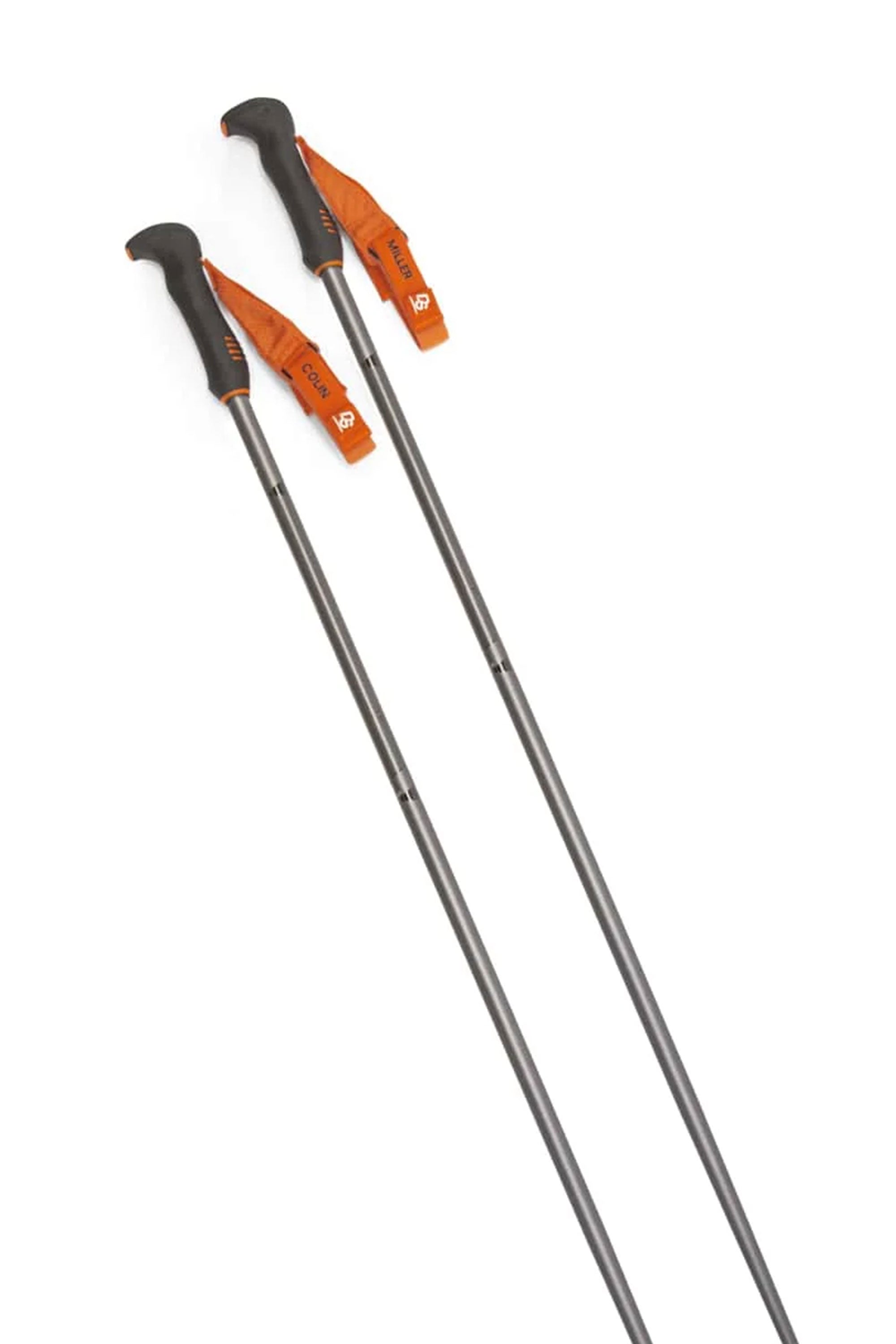 Ski Poles